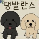 댕발란스 이미지