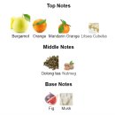 갤러리 서현 | 니샤네 우롱차 세달사용기 - 분당 서현 퍼퓸갤러리