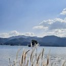 강변에서 이미지