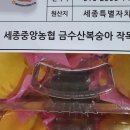 조치원농협하나로마트 네이버블로그