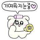 알루메리지