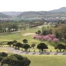 (주)강남제일 이미지