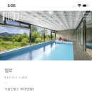 벨로시A