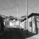 용호농장 이미지