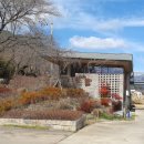 정금교 옆 이미지