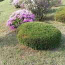우산리산장 이미지