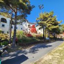 황간(부산) | 경북 상주 블루원상주CC! 1박 2일 프로그램 방문 후기! 동영상 [이춘근 골프여행 티스토리 1,405회]