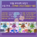 꿈꾸는 창의 놀이수학(7세) 이미지