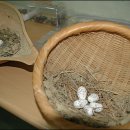 강남농약 이미지