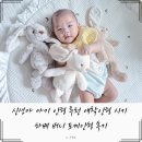 엄마표 애착인형 - 플래닛돌 | 신생아 아기 인형 추천 애착인형 시기 하베 버니 토끼인형 후기