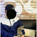 펫퍼스트 24시 강아지분양 고양이분양 네이버블로그