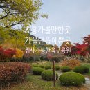 오이도작은도서관 | 시흥 가볼만한곳 가을단풍 예쁜 곳 산책 취사가능한 옥구공원