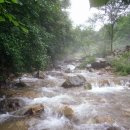 덕거별서 이미지