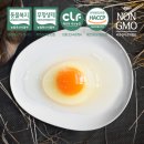 평사농장 | 구쁘 옹알옹알 유정란 내돈내산 정기배송 후기