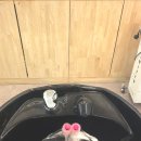 삼융프라자Ⅱ 앞 | 파주 숨헤어 야당역 포레스트점 친절하고 실력 좋은 미용실 추천 뿌리펌 솔직 후기