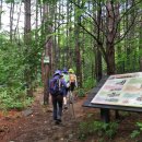 소백산자락길 이미지