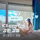 애견호텔 나무야 | 강릉 세인트존스 호텔 강원도 호캉스 애견동반 가볼만한곳 조식 후기