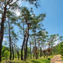 복전2리(복전)경로당 이미지