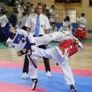 동해태권도체육관 이미지