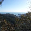 남해편백자연휴양림(남해) 이미지