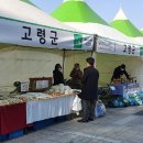 대구경북상생장터