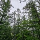 옥전자연휴양림 이미지