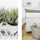 화이트라이프 이미지