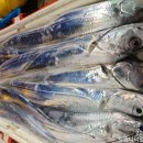 고흥-6호 이미지