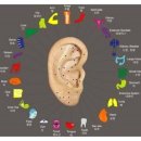 증평보청기 이미지