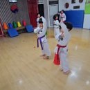 경희대 대영 태권도장 이미지