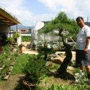 죽동농장 이미지