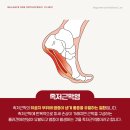 밸런스원정형외과의원 이미지