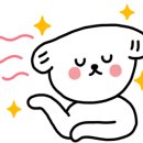 룩옵티컬롯데피트인산본점 이미지