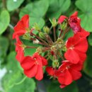 천구농장 이미지