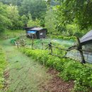 소주고개농장 이미지