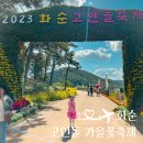 캐리커쳐 | 화순 고인돌 가을꽃축제 유적지 먹거리 체험 아이랑 후기