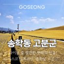 송학동고분군 화장실 이미지