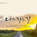 성수교회 이미지