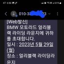 얼리블랙 Daum카페