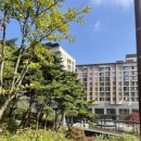 먼동1펜션 | 리솜포레스트 S30 빌라 클린형 내돈내산 만족 후기, 뷰좋은 30동2호 체크인