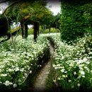 팽목민박 이미지