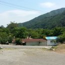세동민박 티스토리