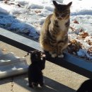 생운목장 이미지