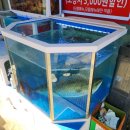 가정로 신현동 도심앤바다 루원시티점