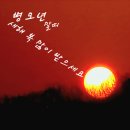 복이 행정사사무소 이미지