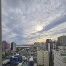 하단세명약국