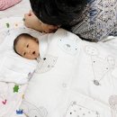 김정은산부인과