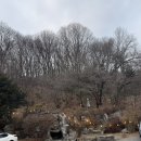 능원로 | [용인 카페] 용인 대형 베이커리카페 몽뻬르｜두바이쫀득쿠키 솔직후기