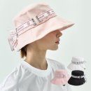 페르시안캣 이미지