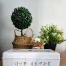 펜션이룸 이미지